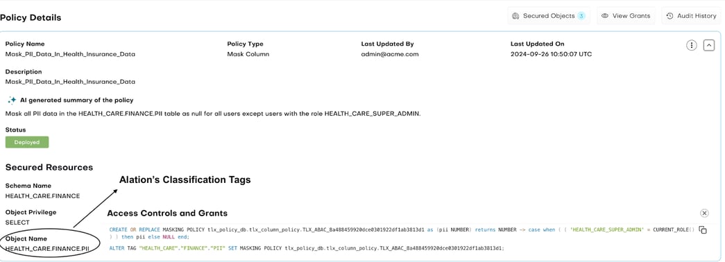 Alation Classification Tags