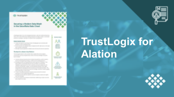 Alation DS Graphic Alation DS Graphic